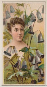 Canterbury Bells: Constancy, från serien Floral Beauties and Language of Flowers N75..., 1892. av Donaldson Brothers