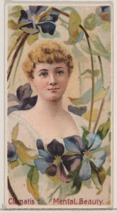 Clematis: Mental Beauty, från serien Floral Beauties and Language of Flowers N75 för..., 1892. av Donaldson Brothers