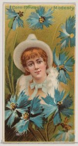Blåklint: Modesty, från serien Floral Beauties and Language of Flowers N75 för Duk..., 1892.