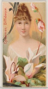 Cyclamen: Diffidence, från serien Floral Beauties and Language of Flowers N75 för Du..., 1892. av Donaldson Brothers