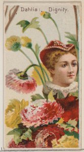 Dahlia: Dignity, från serien Floral Beauties and Language of Flowers N75 för Duke br..., 1892. av Donaldson Brothers