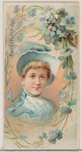 Forget-Me-Not, från serien Floral Beauties and Language of Flowers N75 för Duke bran..., 1892. av Donaldson Brothers
