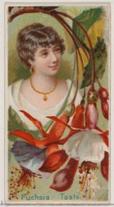 Fuchsia: Taste, från serien Floral Beauties and Language of Flowers N75 för Duke bra..., 1892. av Donaldson Brothers