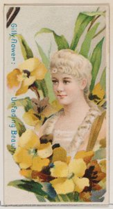 Gilly-flower: Unfading Beauty, från serien Floral Beauties and Language of Flowers N7..., 1892.