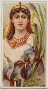 Iris: Sweet Message, från serien Floral Beauties and Language of Flowers N75 för Duk..., 1892. av Donaldson Brothers