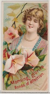 Morning Glories: Bonds of Affection, från serien Floral Beauties and Language of Flowe..., 1892. av Donaldson Brothers
