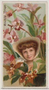 Orchid: Trust, från serien Floral Beauties and Language of Flowers N75 för Duke bran..., 1892. av Donaldson Brothers