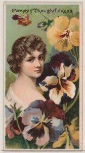 Pansy: Thoughtfulness, från serien Floral Beauties and Language of Flowers N75 för D..., 1892. av Donaldson Brothers