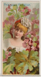 Primrose: Flirtation, från serien Floral Beauties and Language of Flowers N75 för Du..., 1892. av Donaldson Brothers