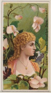 Sweet-Peas: Goodbye Sweetheart!, från serien Floral Beauties and Language of Flowers ..., 1892.