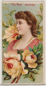 Tea Rose: Jealousy, från serien Floral Beauties and Language of Flowers N75 för Duke..., 1892. av Donaldson Brothers