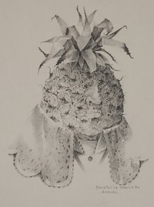Ananas av Donatella Merlo