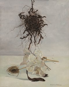 Rot av Donatella Merlo