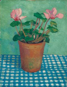 Cyclamen i en kruka (olja ombord)