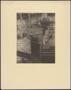 [Hamn, full av segelförsedda fiskebåtar] av Doris Ulmann