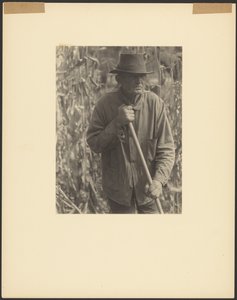 [Man med hacka i Sorghum Patch] av Doris Ulmann