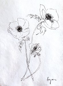 Skiss av en ömtålig blomma av Dorothy Fagan
