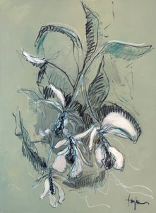 Elegant orkidé-skiss