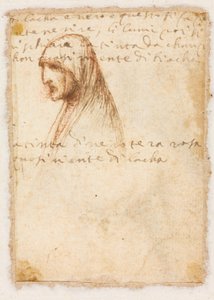 Bystlängdsprofil av en gammal kvinna, ca. 1521. av Dosso Dossi