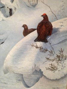 Ripa i snö, ca 1985 (olja på duk) av Douglas Anderson