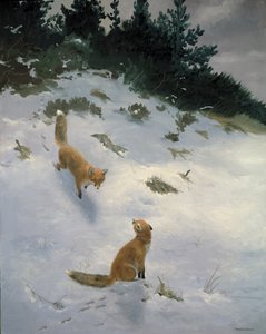 Kärlek vid första ögonkastet, Rävar i snön