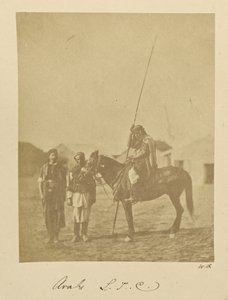 Araber. L.T.C. av Dr. William Robertson