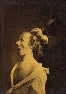 Häpnad, förvåning, häpnad, 1854-1856, tryckt 1862.