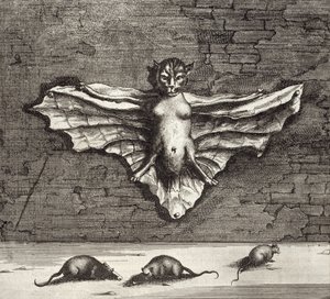 En fladdermus känd som en flygande katt, från Kina Illustrerad av Athanasius Kircher (1601-80) 1667 av Dutch School