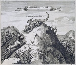 Ett berg i Jiangxi-provinsen med klippor som kallas draken och tigern, från Kina Illustrerad av Athanasius Kircher (1601-80) 1667 av Dutch School