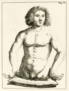 Exempel på medfödda missbildningar av Frederik Dekkers, 1694 av Dutch School