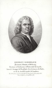 Herman Boerhaave av Dutch School