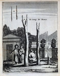 Lime and Orange Trees, från De Nederlandze Hesperides av Jan Commelin, publicerad 1676 av Dutch School