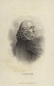 Peter Camper av Dutch School