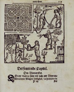 Plantera träd, från The Dutch Gardener av Johann van der Groen, publicerad 1699 av Dutch School