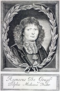 Regnier de Graaf, ca 1670 av Dutch School