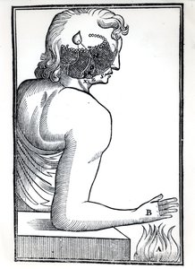 The Perception of the Senses, från De Homine Figuris av Rene Descartes (1596-1650) publicerad i Amsterdam, 1677 av Dutch School