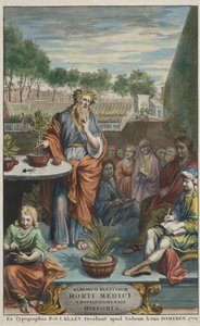 Titelsida från "Horti Medici Amstelodamensis Rariorum Plantarum Historia" vol. II, av Jan Commelin och Caspar Commelin av Dutch School