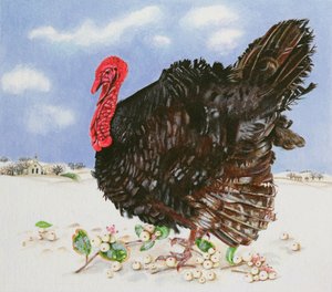 Svart kalkon med snöbär, 1996 (akryl på papper) av E.B. Watts