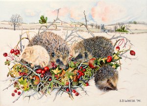 Igelkottar i Hedgerow Basket, 1996 (akryl på duk)