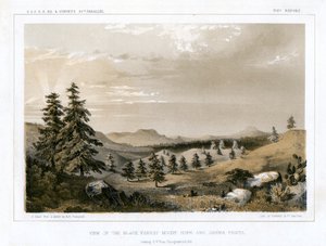 Black Forest Mount Hope och Sierra Prieta, USA, 1856. av E Stout