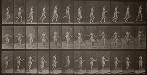 Djurens rörelse, tavla 174, 1887. av Eadweard Muybridge