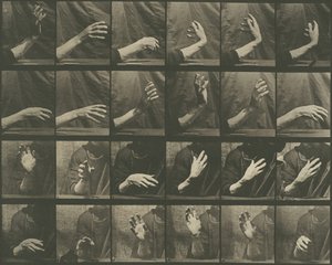 Djurrörelse, skylt 535, 1887. av Eadweard Muybridge
