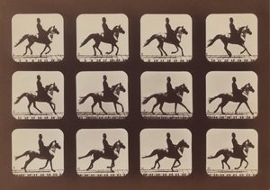 Attitudes of Animals in Motion, 1879, tryckt 1881. av Eadweard Muybridge