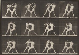 Plåtnummer 340. Boxning, öppna handskor, 1887. av Eadweard Muybridge