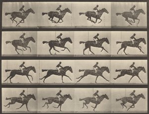 Plåtnummer 626. Galopp, fullblods buksto, Annie G., 1887. av Eadweard Muybridge