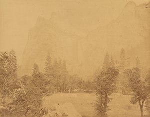 Pohona. Yosemites dal.
