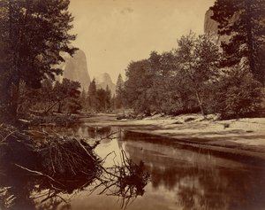 [Sylvan Bar. Yosemites dalgång.]