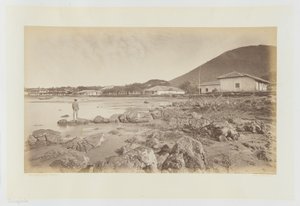 Amapala, Honduras av Eadweard Muybridge