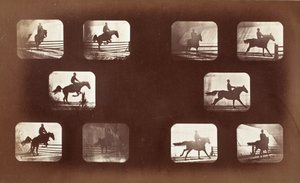Djurens rörelser (man till häst över hinder) av Eadweard Muybridge