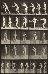 Djurens rörelseförmåga (platta 300) (Man sparkar boll) av Eadweard Muybridge